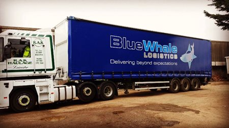 blue-whale.jpg