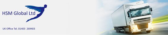 HSM GLOBAL LTD